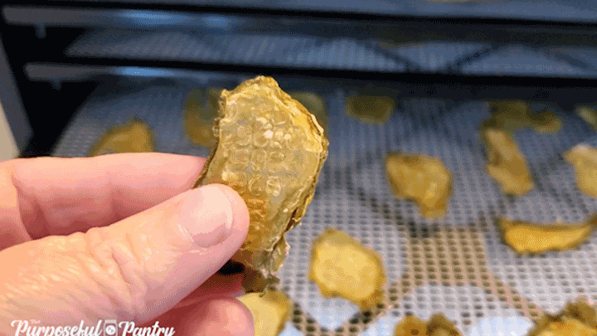 Woman's hand holding up a dried pickle slice.