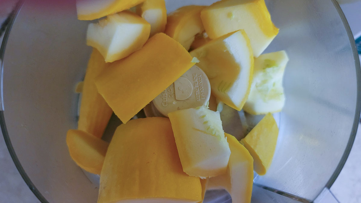 Squash chopped into smaller pieces in food processor bowl.