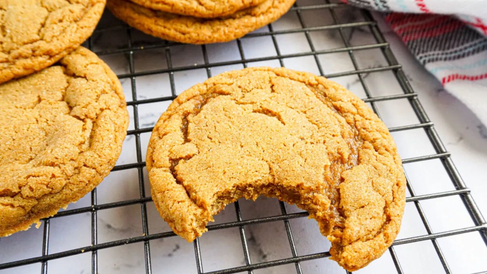 Molasses cookie with bite.
