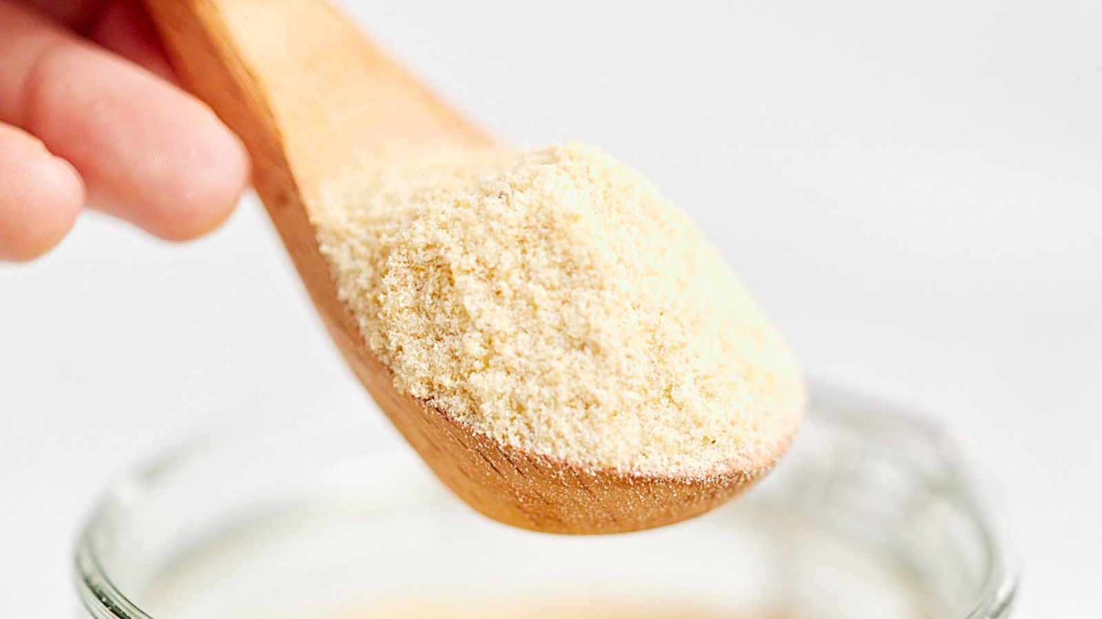 A scoop of chicken flour.