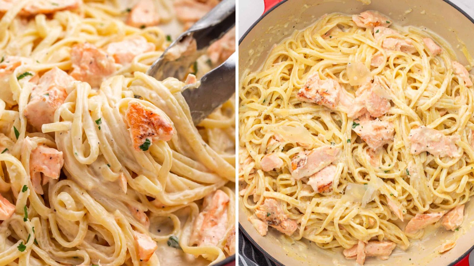 Salmon pasta close up.