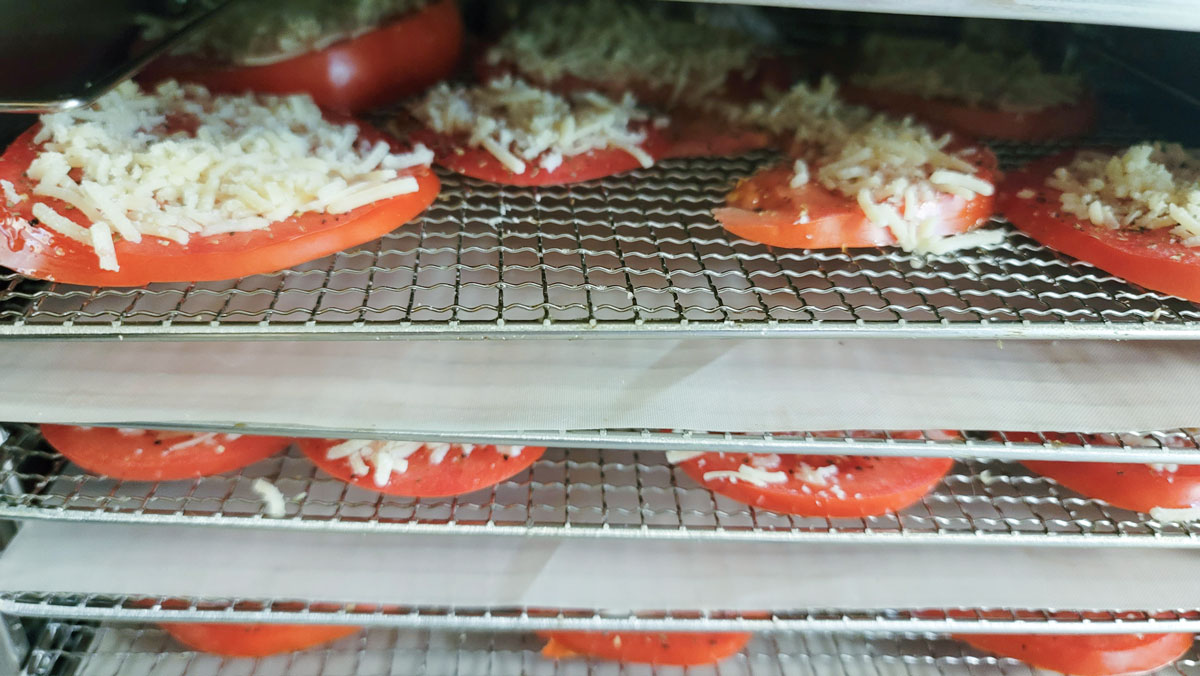 Racks of parmesan topped tomato chips in a dehydrator.