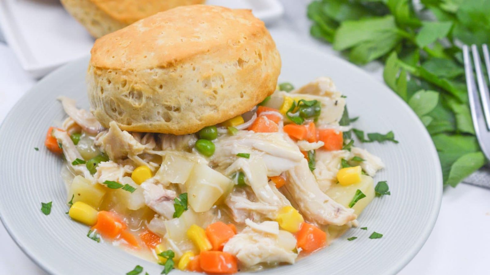 Chicken pot pie on a plate.