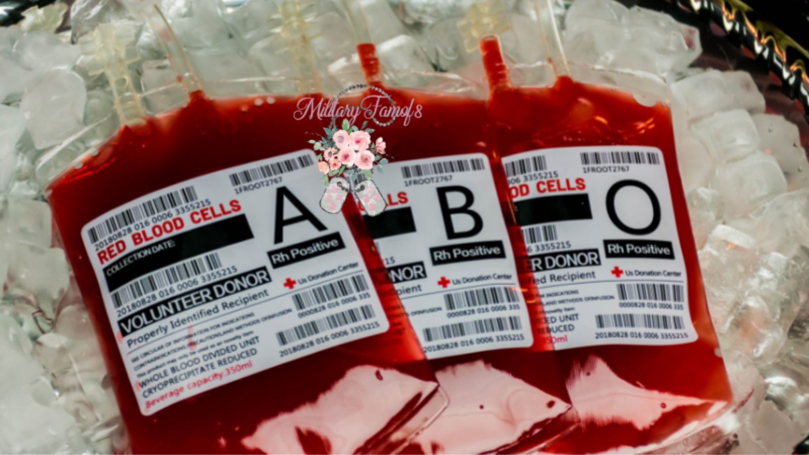 Cocktails in blood bag.