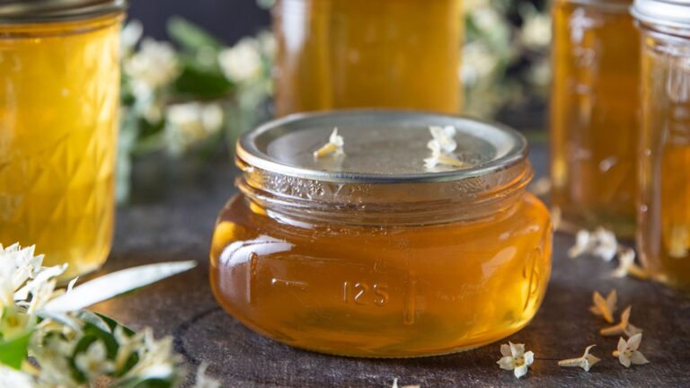 Various jars of yellow jelly with branches of flowers.