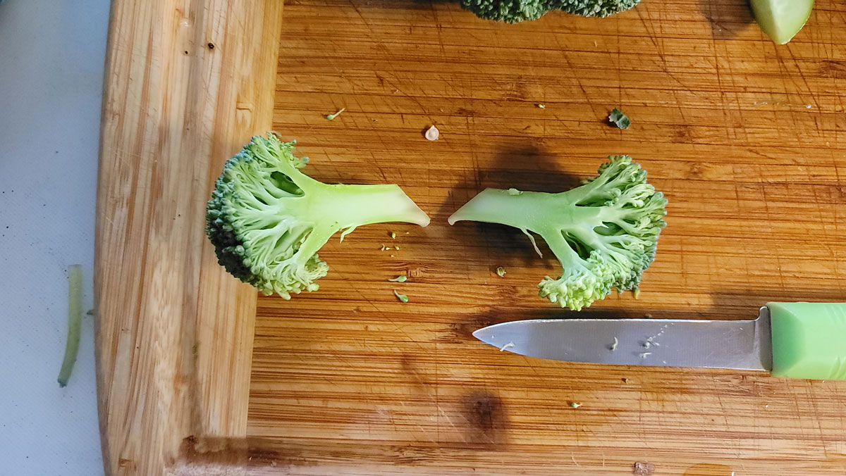 Broccoli floret cut in half.
