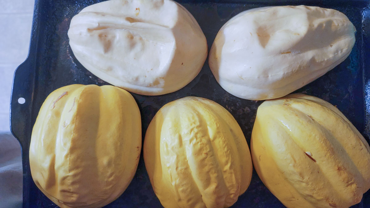 Squash placed cut side down on roasting pan.