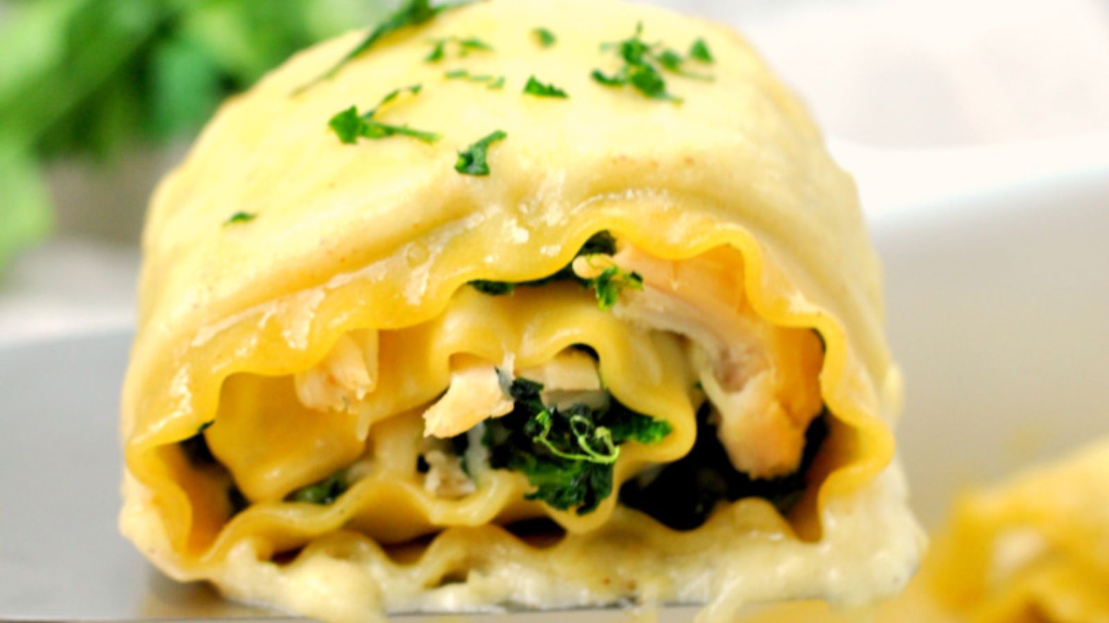 Lasagna rolls with turkey and spinach.