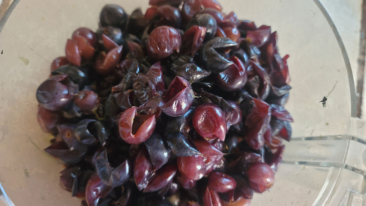 Grape skins separated from the flesh.