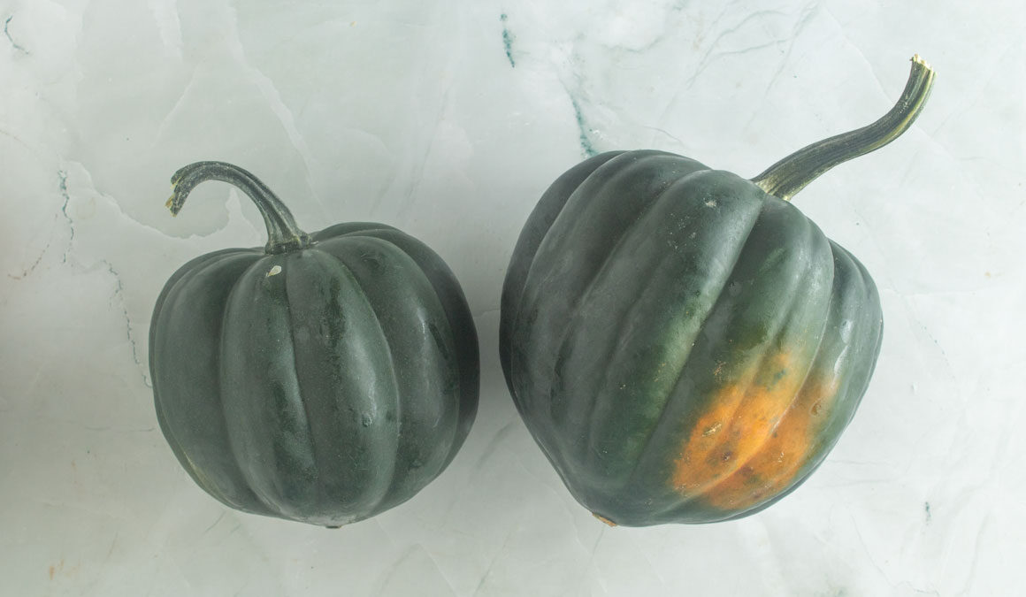 Two whole acorn squash on a white board.
