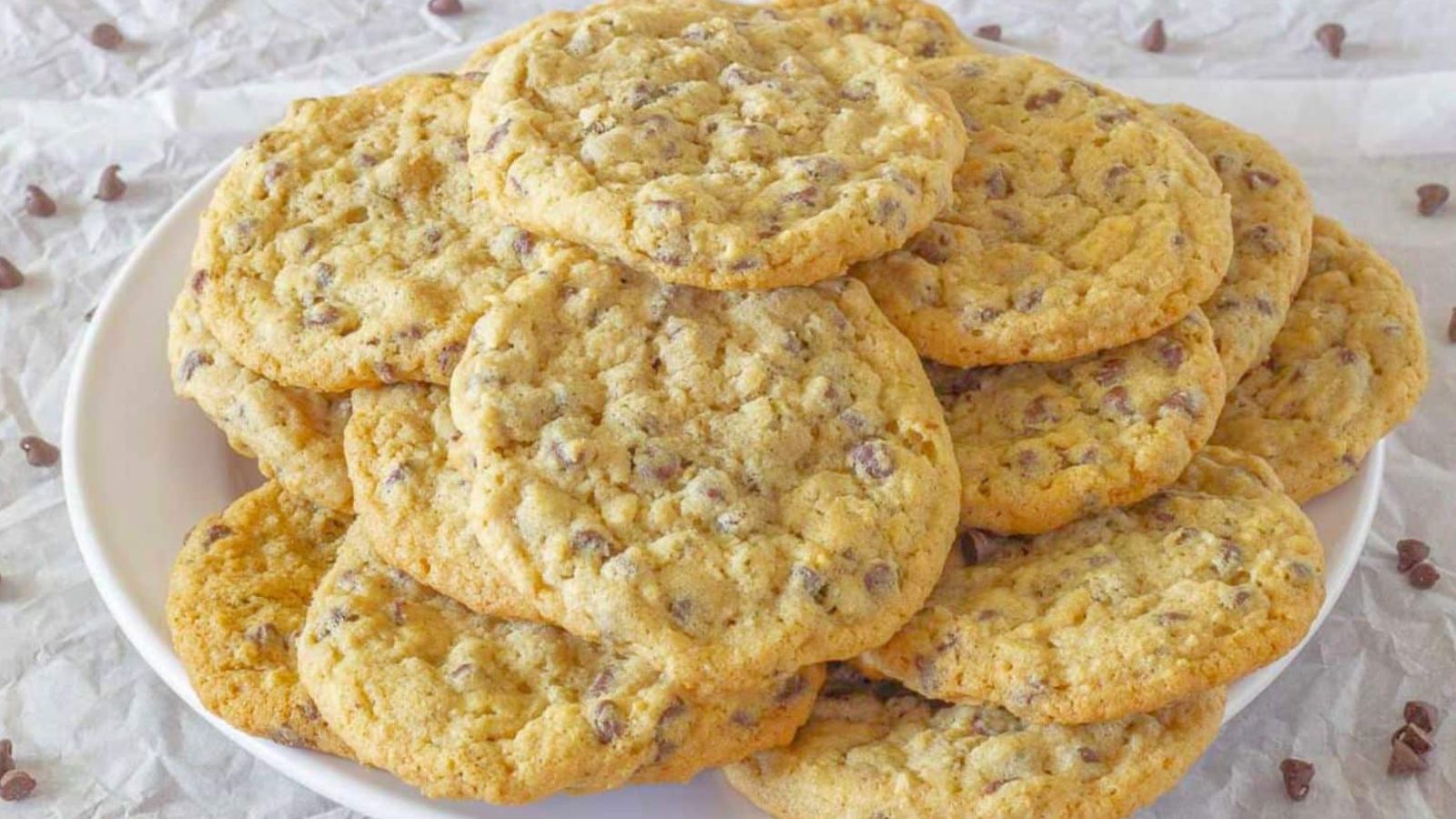 A plate full of cookies.