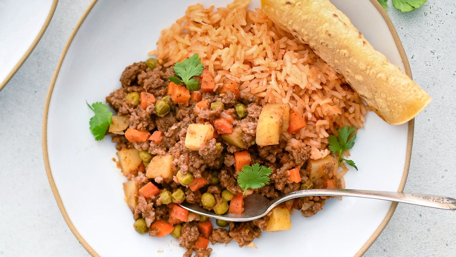 Ground meat and rice on a plate.