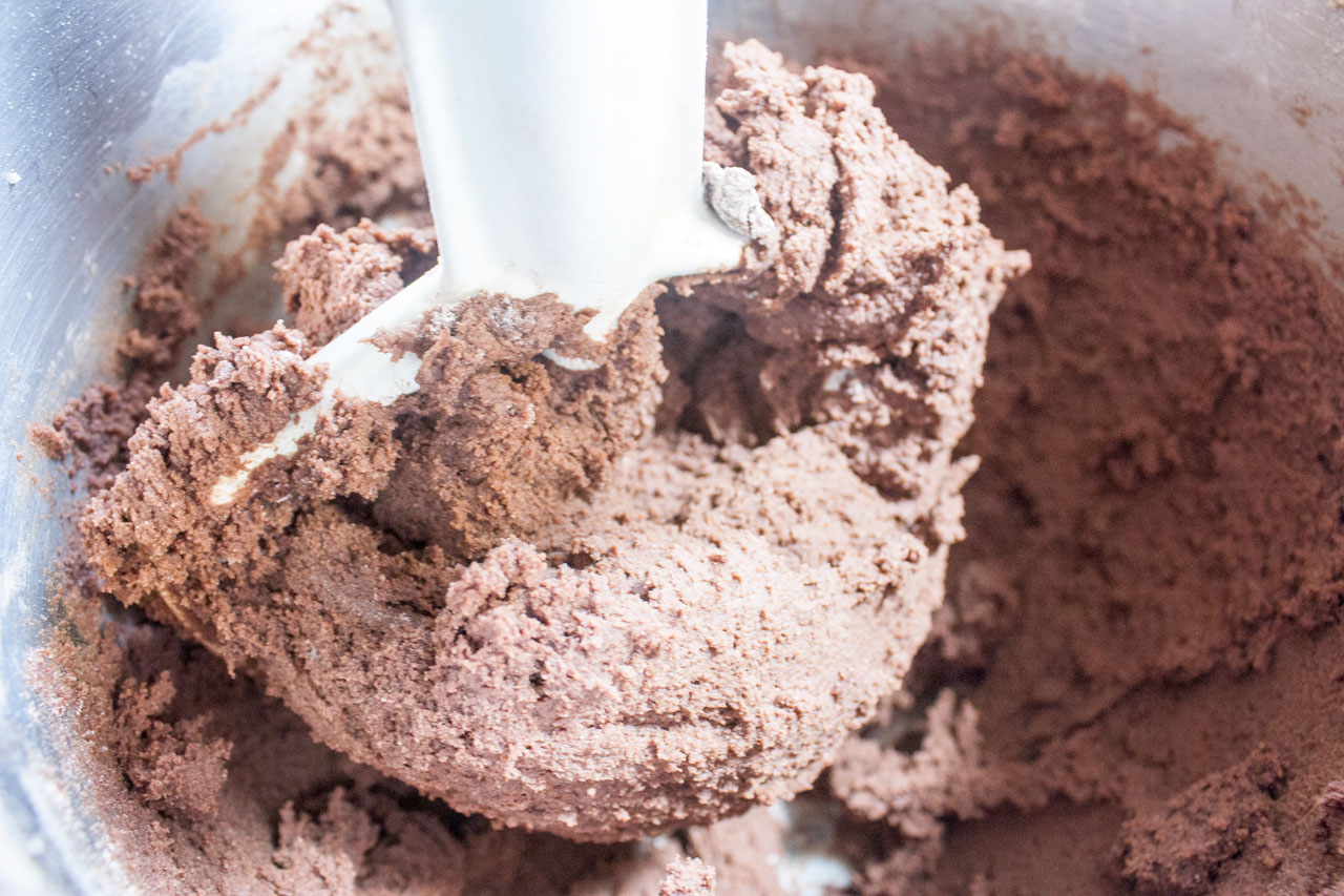 Dry ingredients added to the mixing bowl and mixed into a dough.