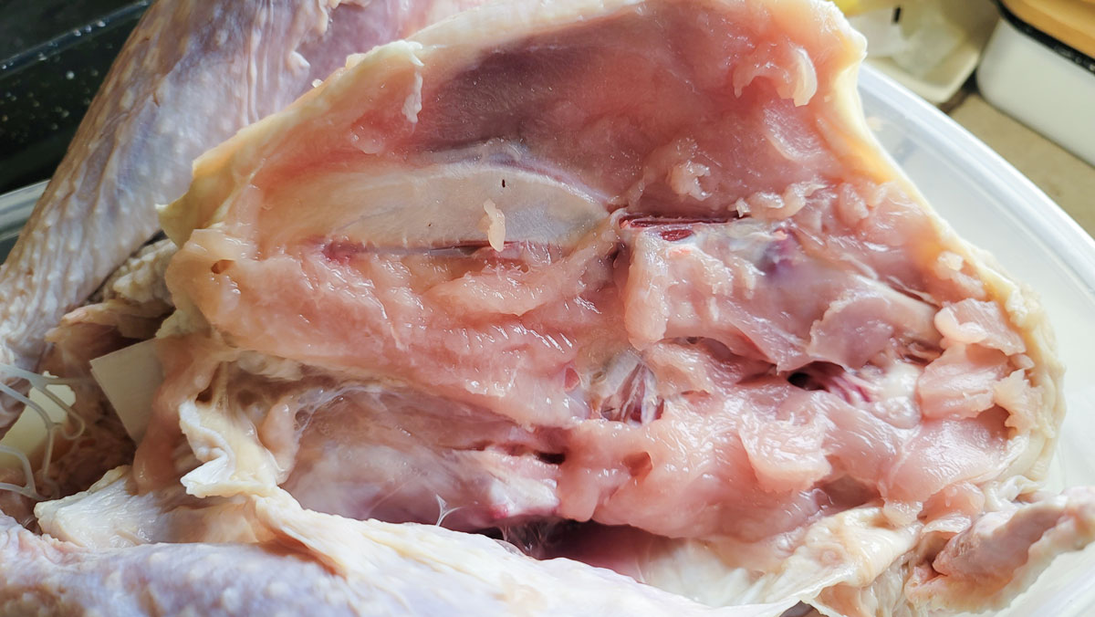 Breast removed form the bird.