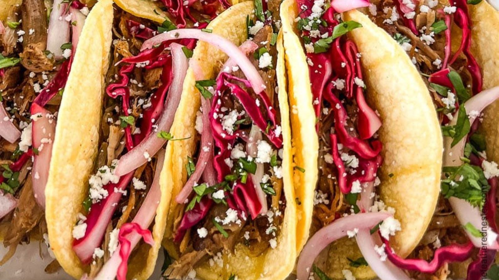 Pork tacos close up.