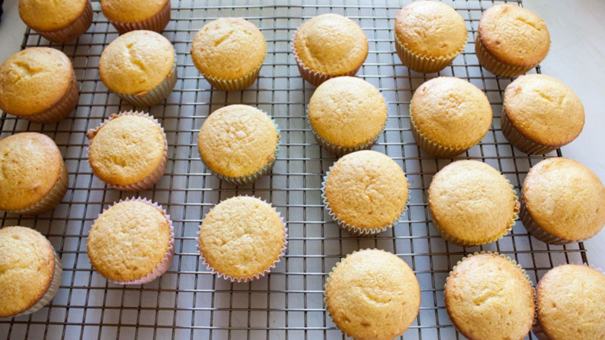 Baked cupcakes on a cooking rack.