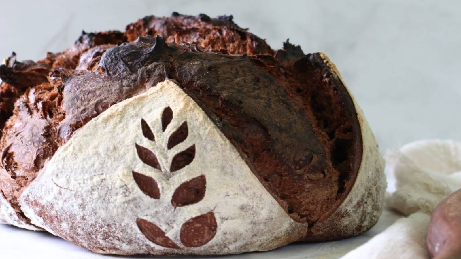 Chocolate sourdough in a gray background.