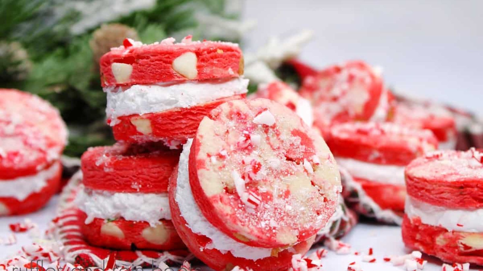 Peppermint sandwich cookies close up.