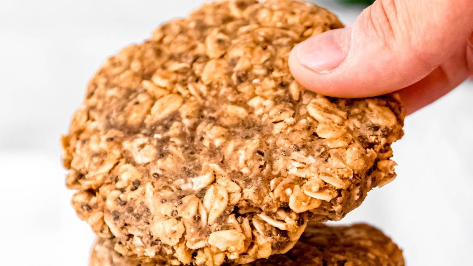 A hand holding an oatmeal cookie.