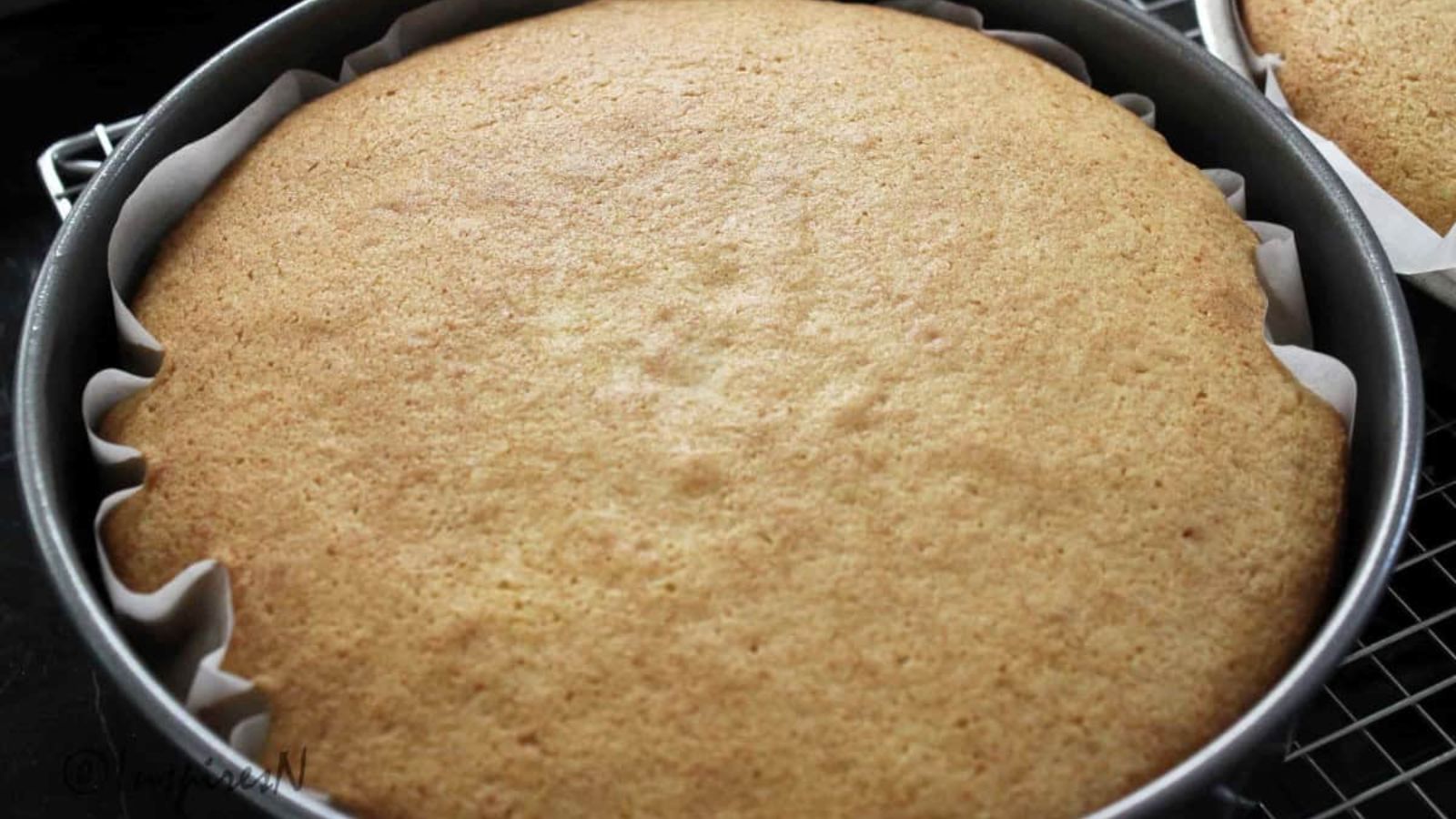 A whole sponge cake in a baking pan.
