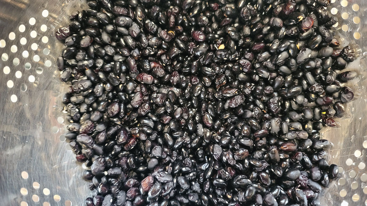 Rinsed and sorted beans in a colander.