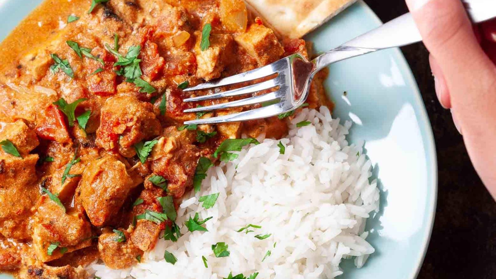 Chicken with rice on a plate.