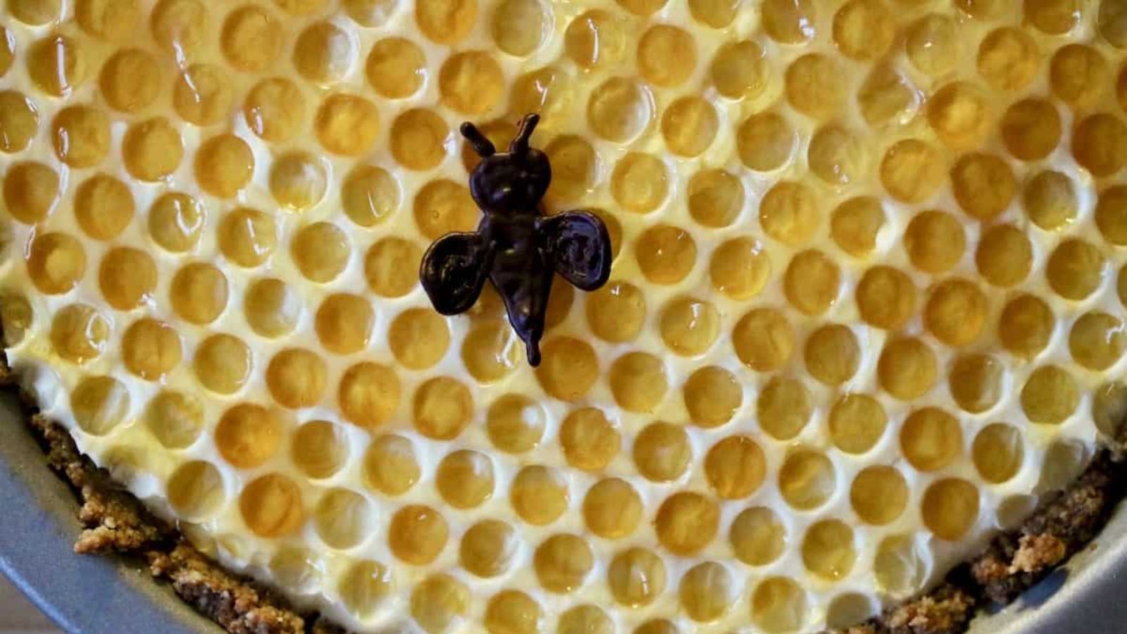 Honeycomb cream pie close up shot.