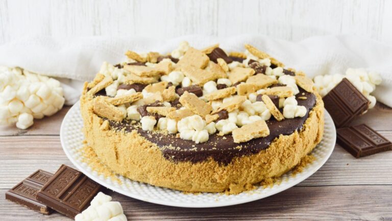 A whole s'mores cheesecake.