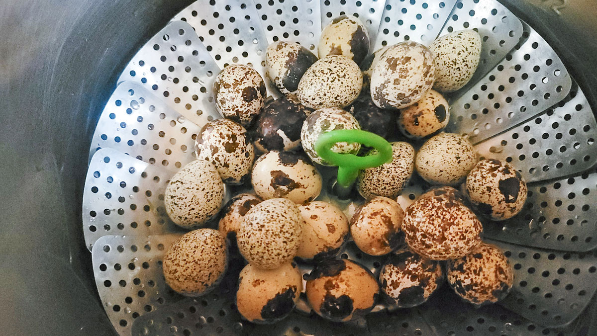 Vegetable steamer and quail eggs in the instant pot pot.