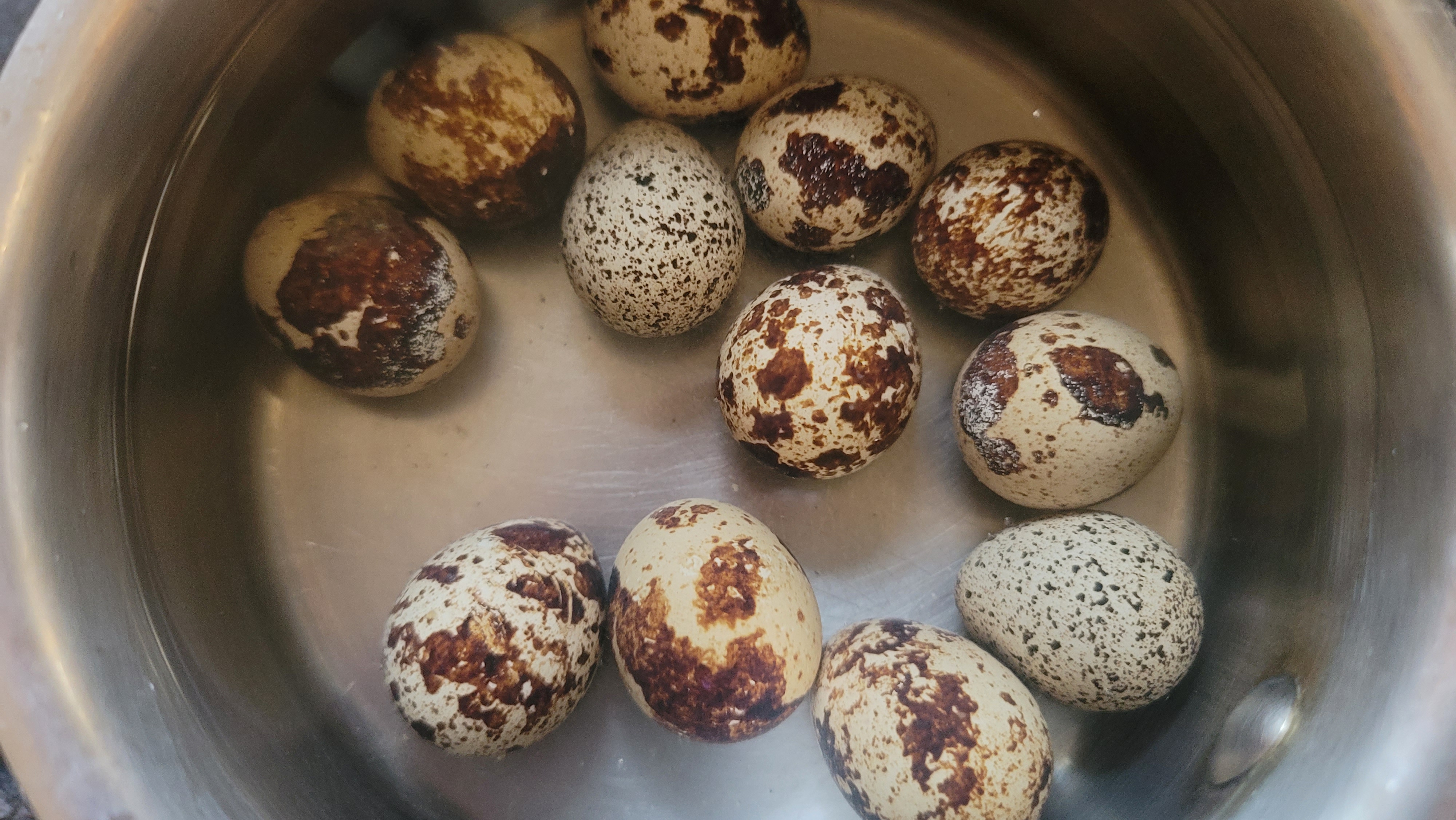 Quail eggs in a saucepan.