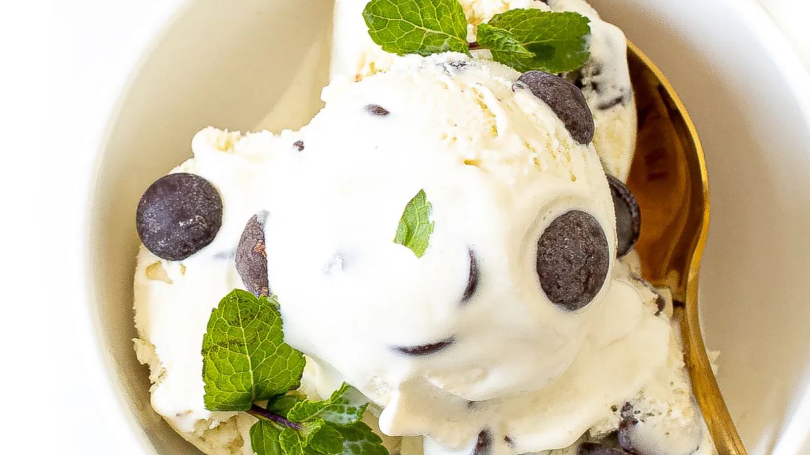 Mint chocolate chip ice cream in a bowl.