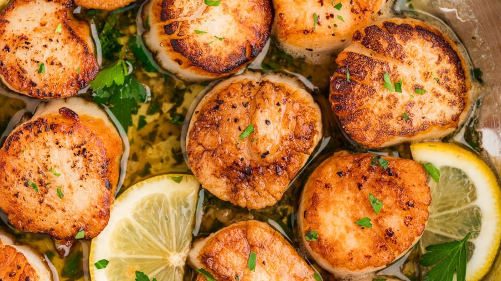 Scallops close up shot.