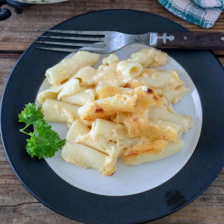 White plate with a black edge filled with creamy mac and cheese.