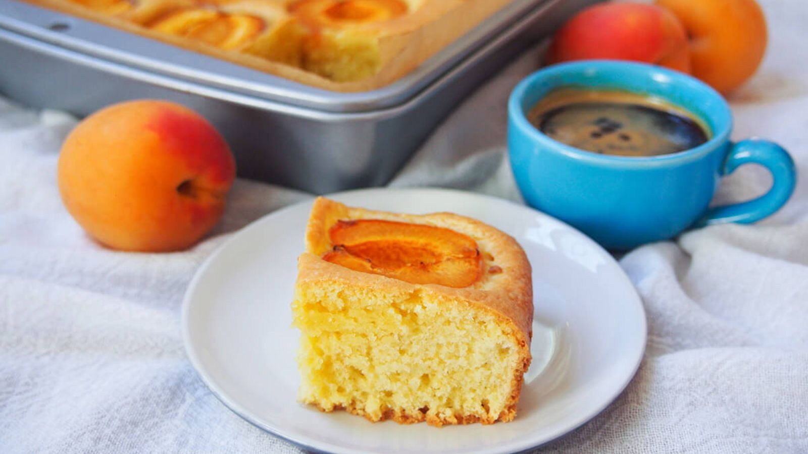 Austrian apricot cake on a plate.