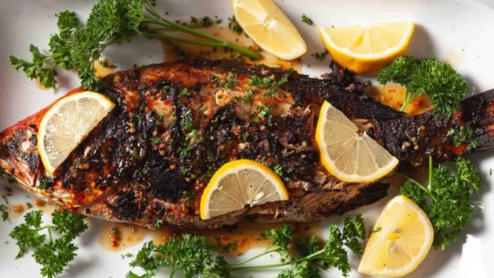 Top view shot of Grilled Red Snapper on a plate.
