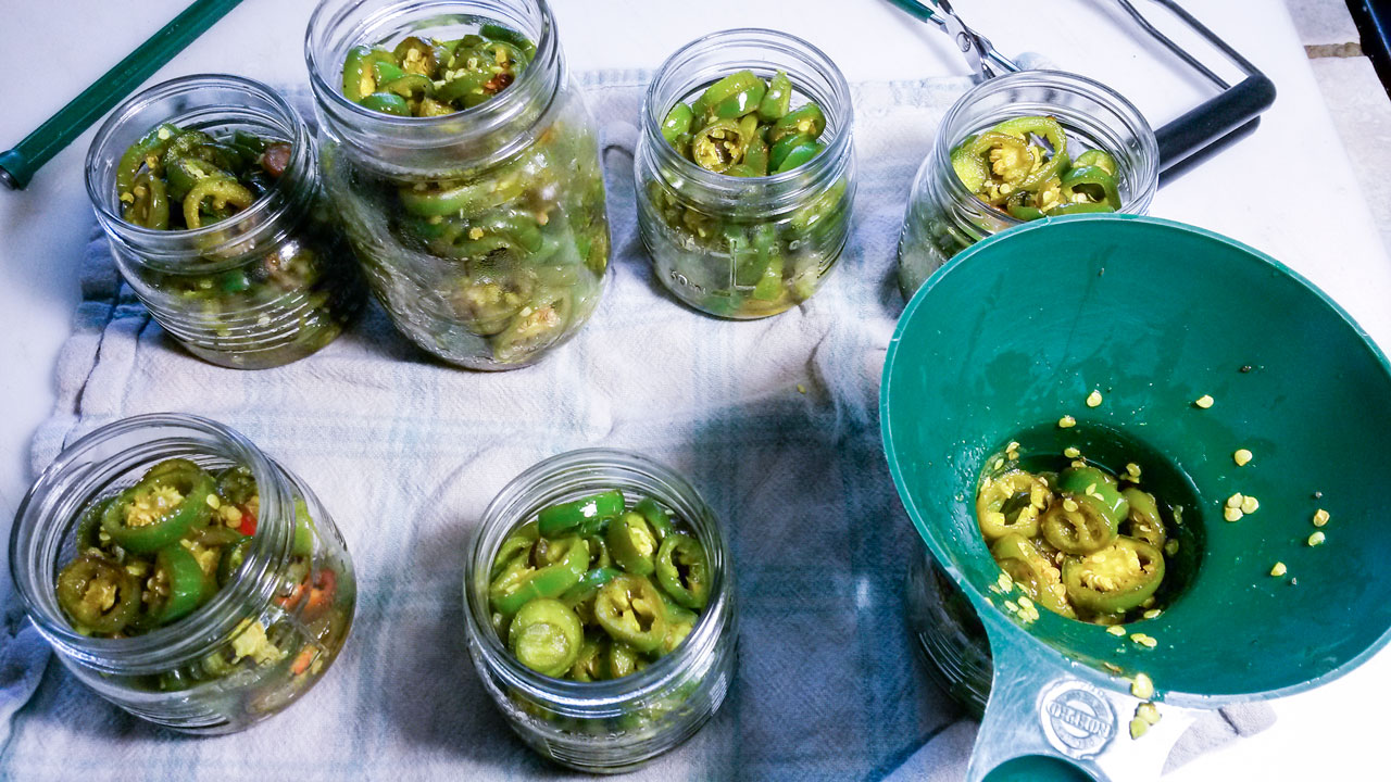 Jars filled with peppers using a canning funnel.