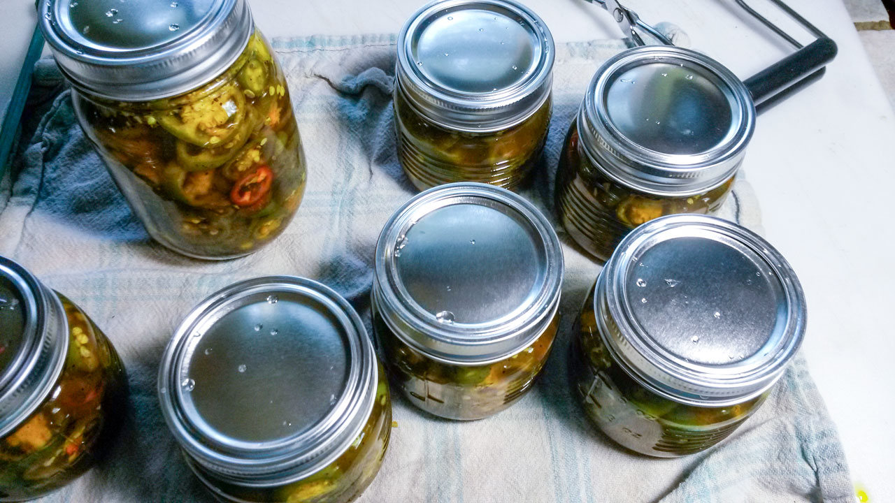 Brine added to the jars and then lids added. 