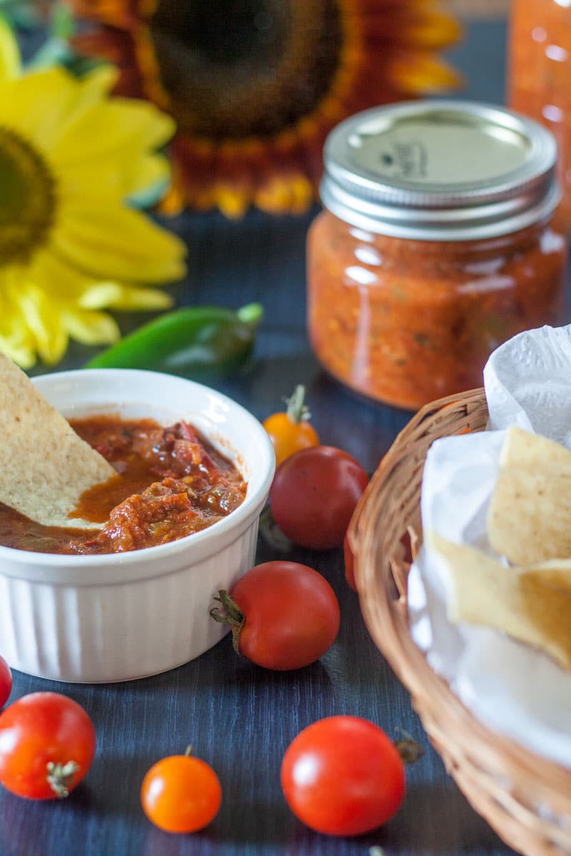 close up chipotle salsa